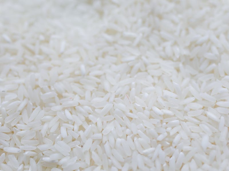 Rice